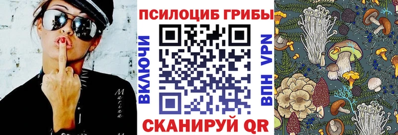 omg зеркало Ряжск Галлюциногенные грибы GOLDEN TEACHER